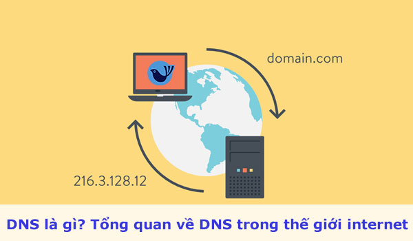 DNS