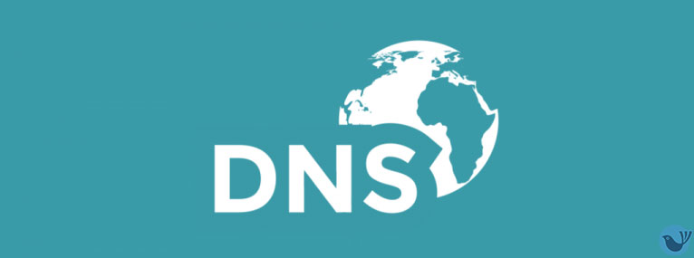 sử dụng DNS