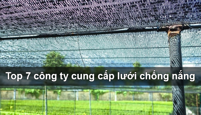 Top 7 công ty cung cấp lưới chống nắng, lưới trồng rau 