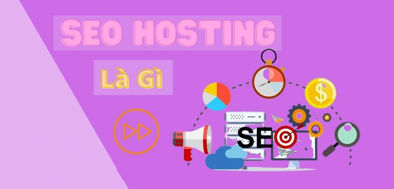 dịch vụ seo web hosting là gì