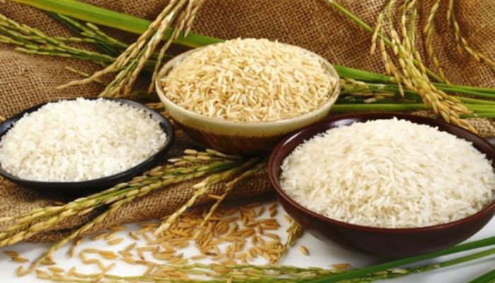 Reconnect International - đơn vị hàng đầu trong lĩnh vực xuất khẩu gạo