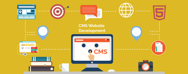 cms hỗ trợ website hoạt đồng