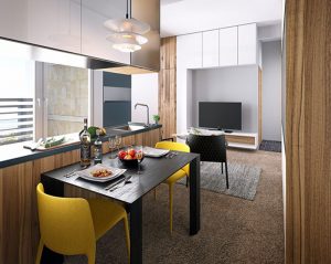 căn hộ mini đẹp