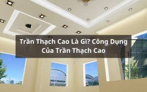 trần thạch cao là gì