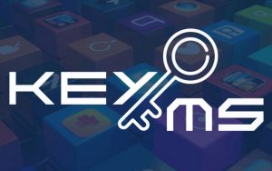 Đơn vị bán phần mềm bản quyền chính hãng EKEYMS