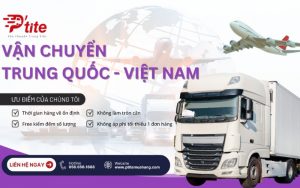 đơn vị ptite logistic