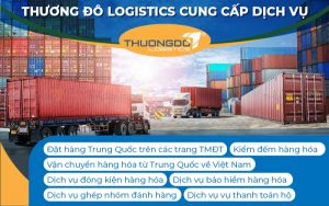 công ty nhập hàng taobao Thương Đô Logistics
