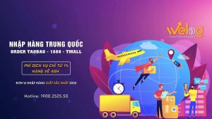 đơn vị hỗ trợ nhập hàng uy tín hiện nay - Welog.vn