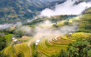 Ruộng bậc thang Hoàng Su Phì